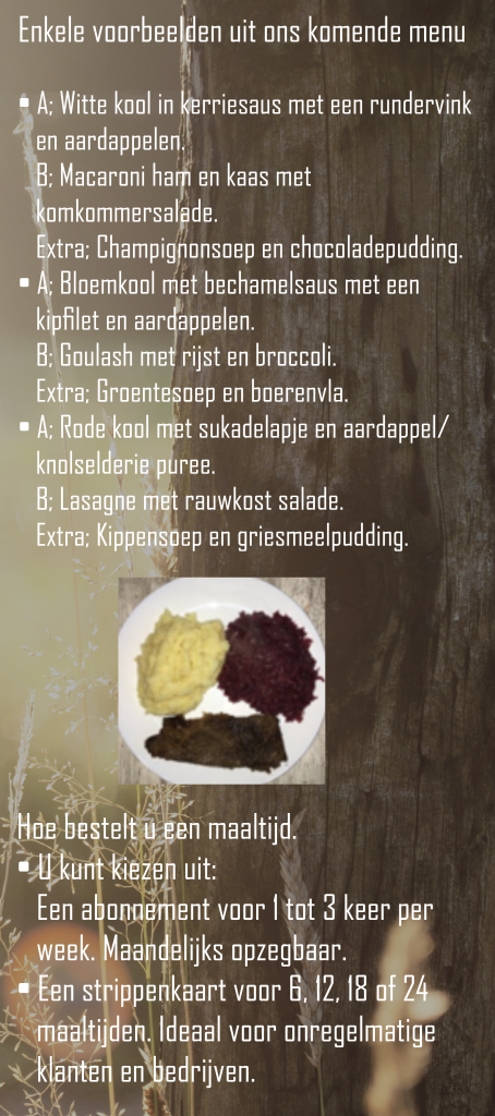 Flyer2